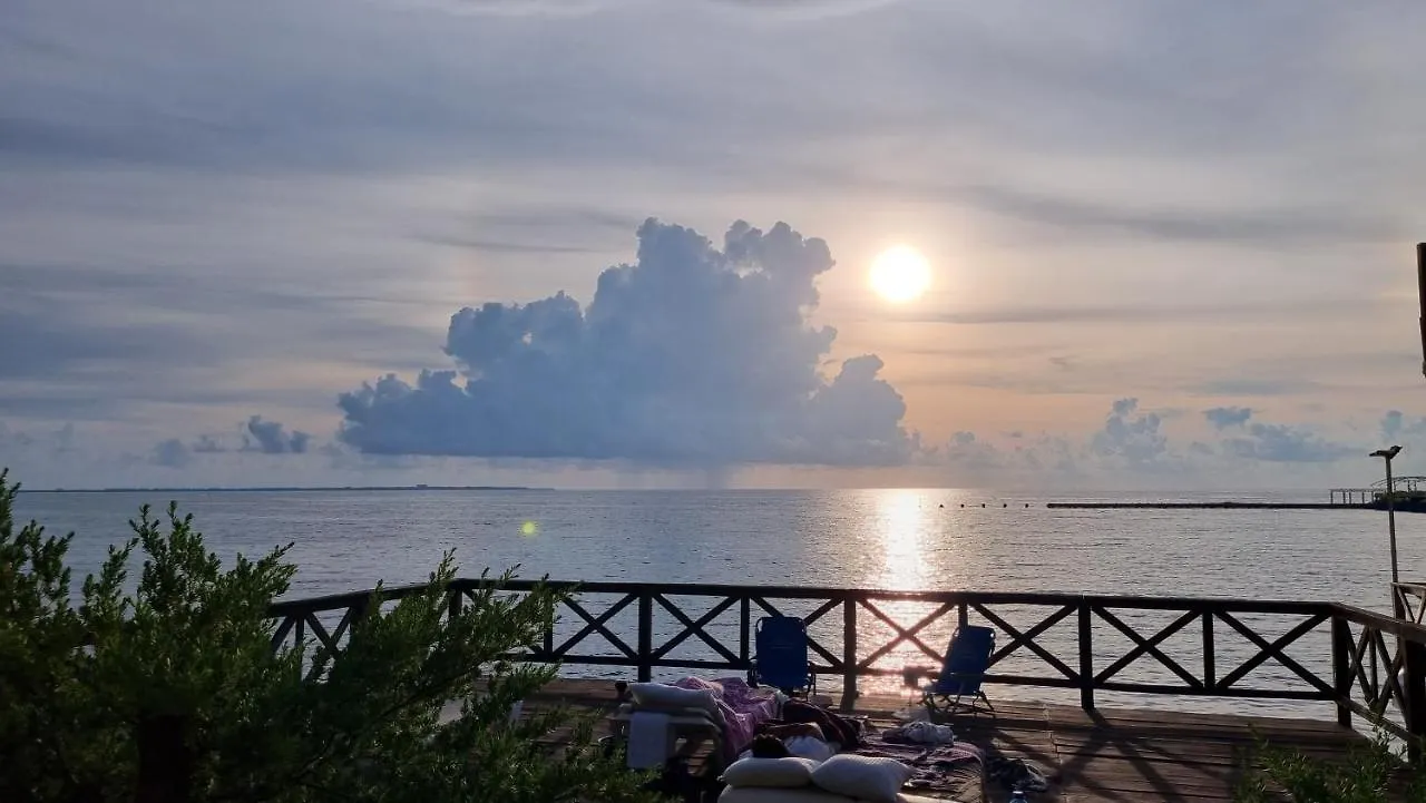Yyy Lägenhet Cancún
