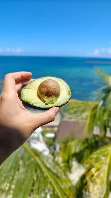 Yyy Lägenhet Cancún