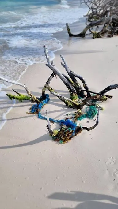 Yyy Lägenhet Cancún