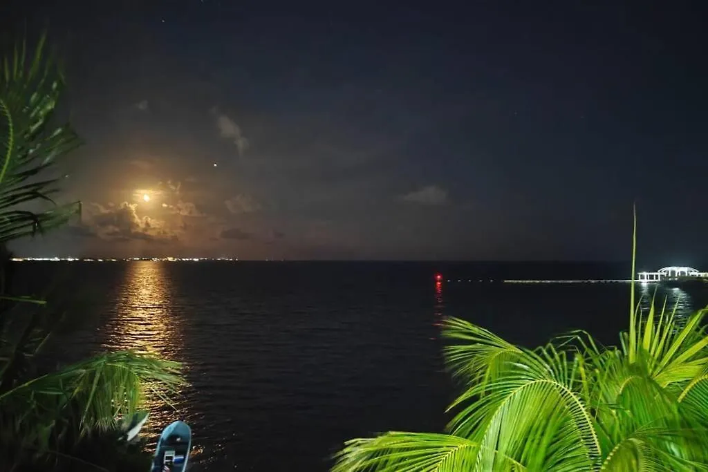 Yyy Lägenhet Cancún Mexiko