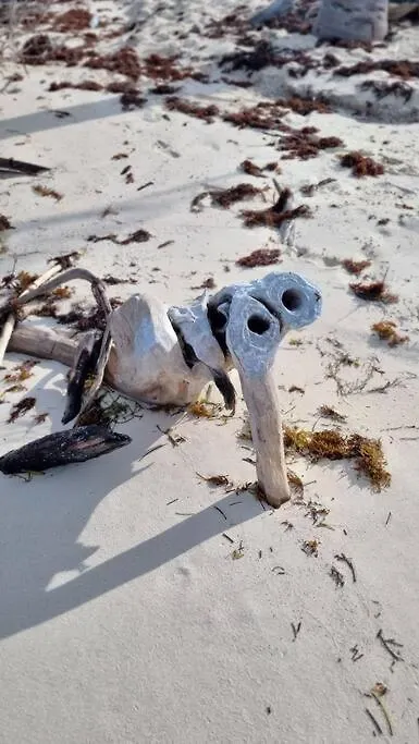 Yyy Lägenhet Cancún 0*,